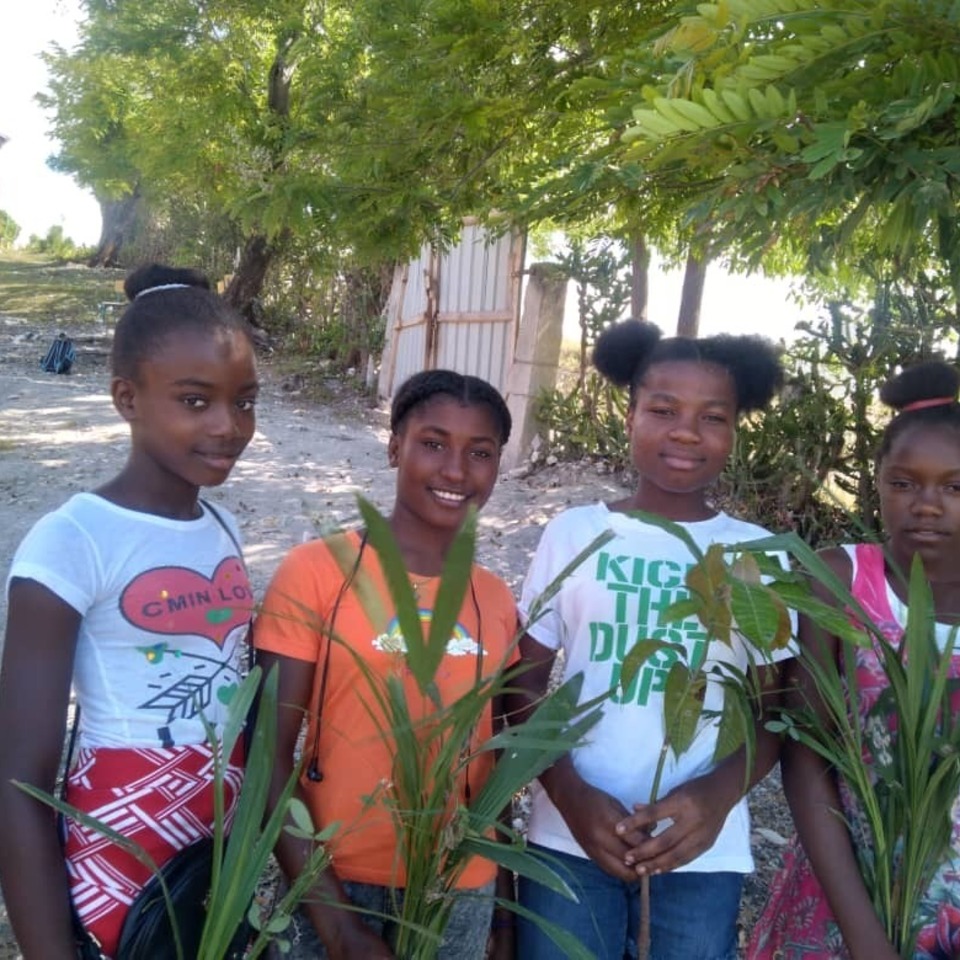 A group of young girls holding plants in their hands.